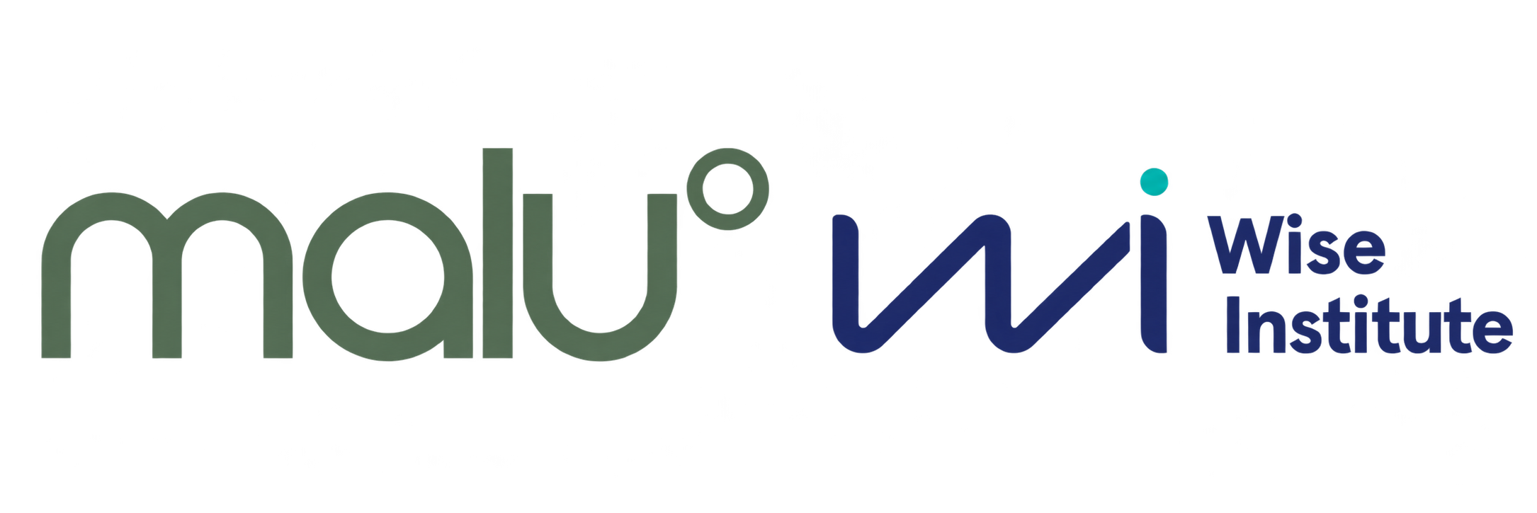 Wise Institute